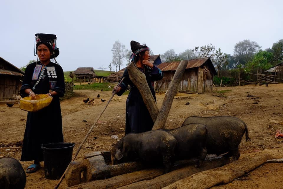 2 Days Trekking To Tribal Villages of Akha Poulee, Laobith, Akha Pala